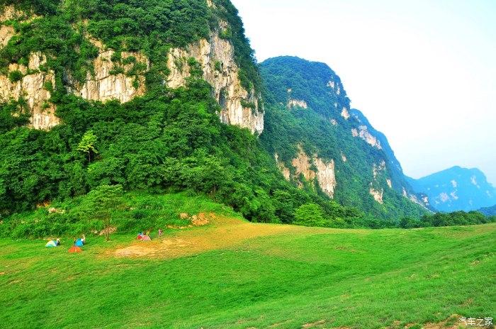 除虫大师
